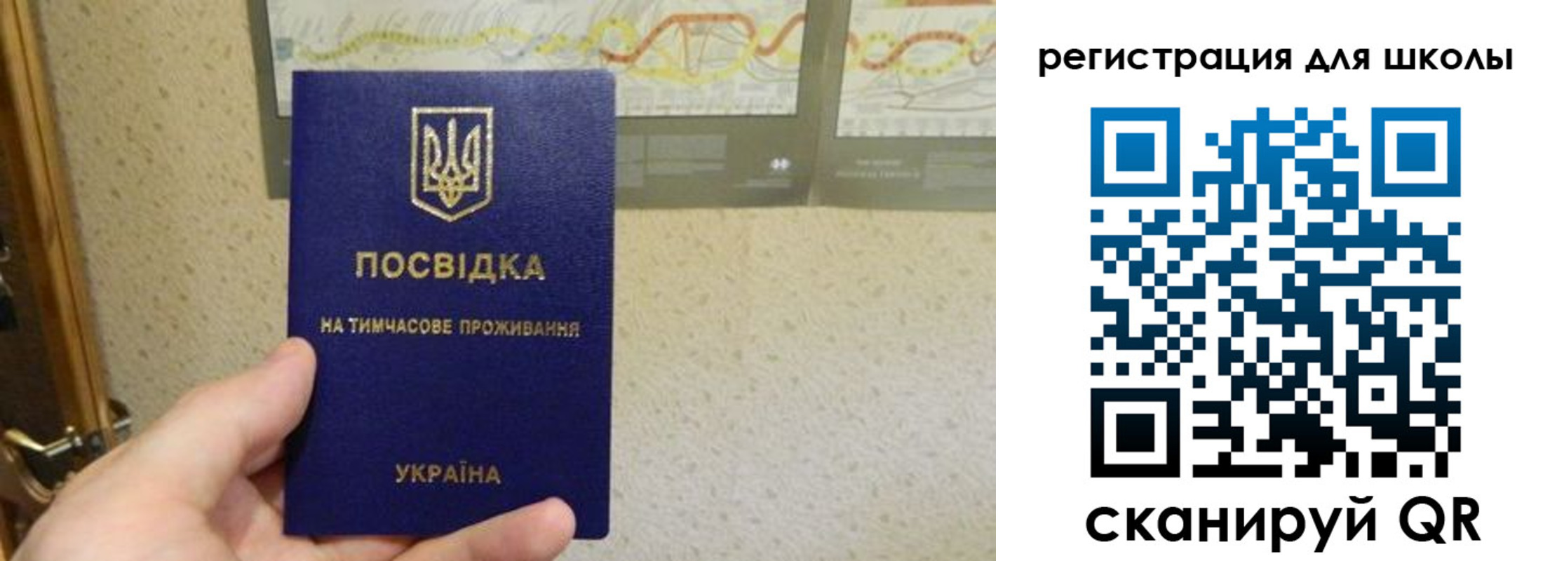 временная прописка в Выборге